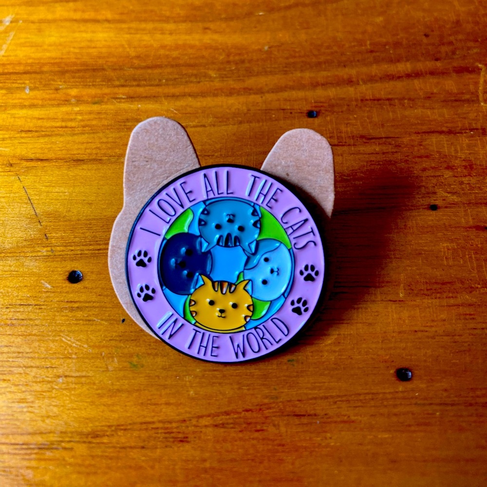 Cute Cat Pin!
